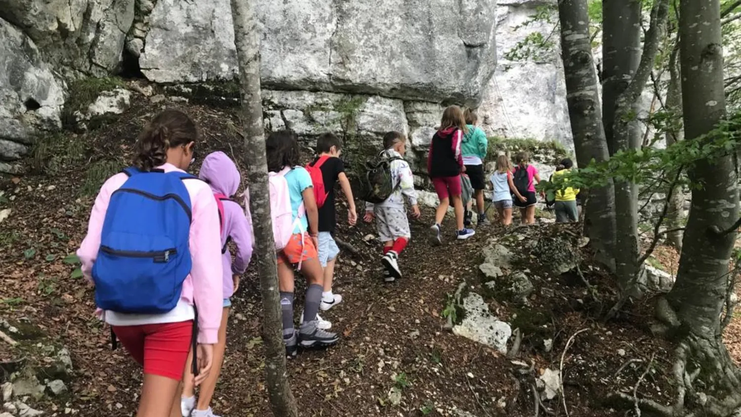 Bambini del camp in escursione lungo un sentiero roccioso nel bosco
